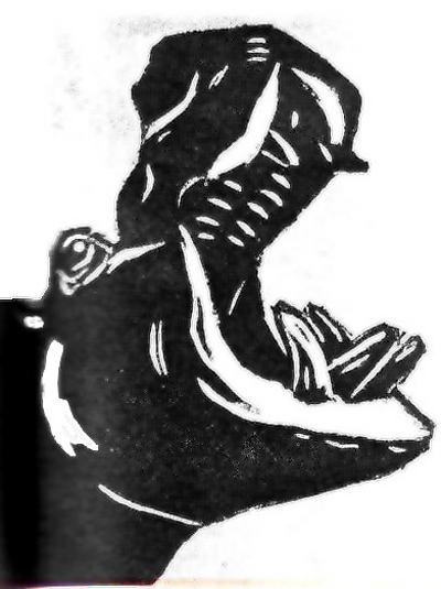 Bild Flußpferd von Uli Aschenborn